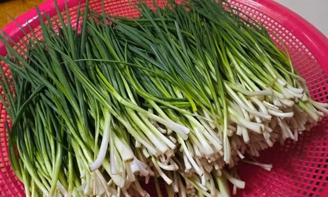 Những cọng hành của người cha mắc chứng sa sút trí tuệ