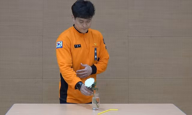 Tại sao video 'bỏ ống hút ra, thêm một bông cúc vào' lại 'viral' 