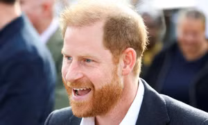 Ý định thực sự của Harry