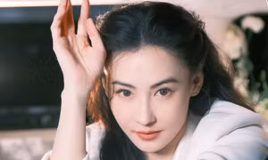 Lý do Trương Bá Chi giải nghệ
