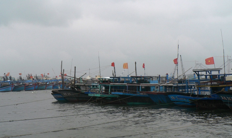 Nhiều tàu cá đã neo đậu tránh bão.