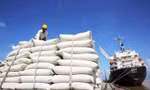 Gạo Việt Nam phi mã bất chấp Ấn Độ xả kho, giá thế giới lao dốc 