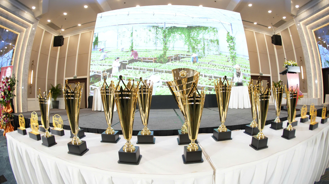 Khởi động Giải Vô địch Golf Quốc gia - Gia Lai 2025 ảnh 37 2ad686eb8165083b5174.jpg