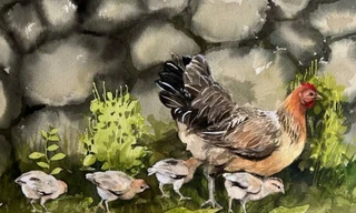 Báo Tiền Phong công bố thể lệ đấu giá tranh trực tuyến ủng hộ đồng bào vùng lũ