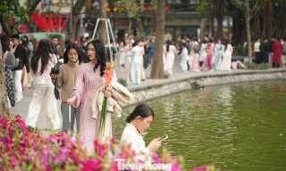 Một mét vuông có hàng chục nàng thơ