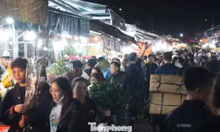 Biển người đổ về chợ hoa đêm 27 Tết