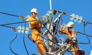 EVNCPC sẵn sàng cấp điện an toàn, liên tục phục vụ bầu cử