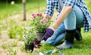 Giới trẻ sống chậm, đọc sách giấy, viết nhật ký trong thời đại công nghệ số