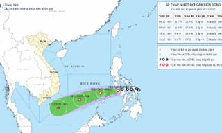 Áp thấp nhiệt đới hình thành, vùng biển Đà Nẵng đến Đắk Lắk có gió giật cấp 7-8