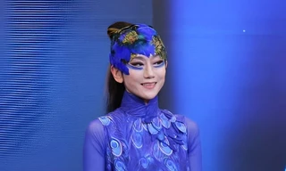 Sắc vóc không tuổi của ‘chim công làng múa’ Dương Lệ Bình khi đến Hà Nội