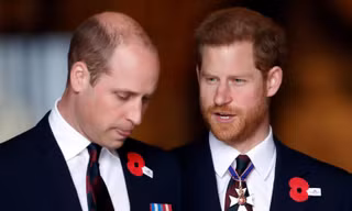 Harry ẩn ý về William