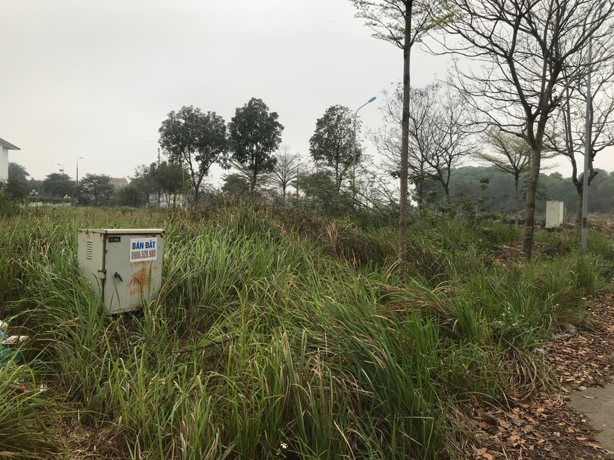 hàng chục ha đất khu đô thị Hà Phong thuộc xã Tiền Phong, huyện Mê Linh, Hà Nội bỏ hoang cả chục năm