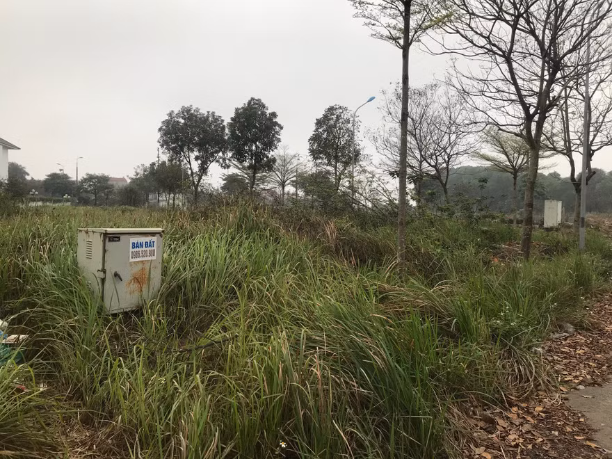 hàng chục ha đất khu đô thị Hà Phong thuộc xã Tiền Phong, huyện Mê Linh, Hà Nội bỏ hoang cả chục năm