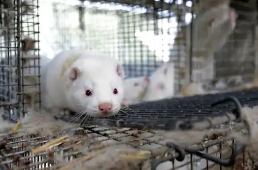 Ảnh minh hoạ: Reuters