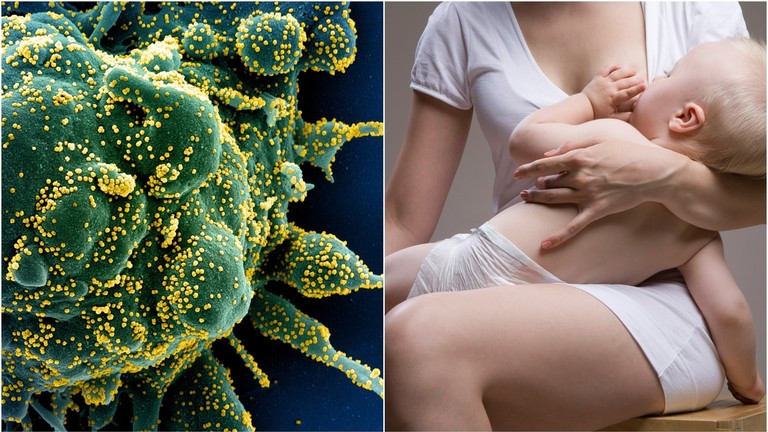 Ảnh minh họa: RT