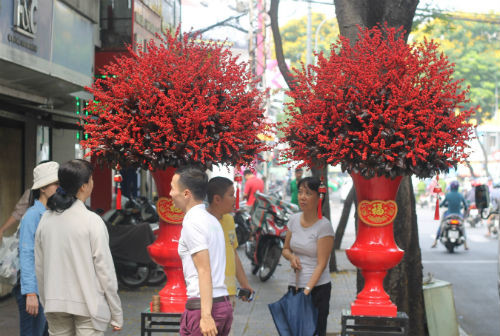 Cặp đào đông có giá 160 triệu đồng đã được khách mua. Ảnh: Flower Box. 