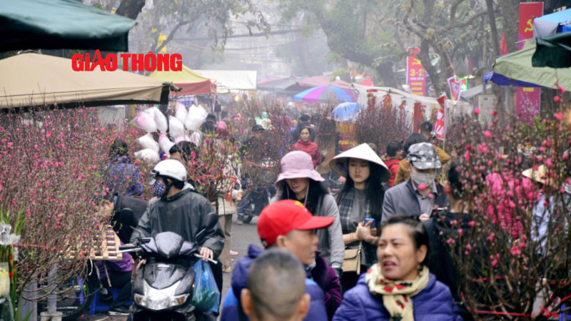 Có tuổi đời hơn 100 năm, chợ hoa Hàng Lược vừa mang vẻ đẹp của thời gian và giá trị hiện vật tinh tế