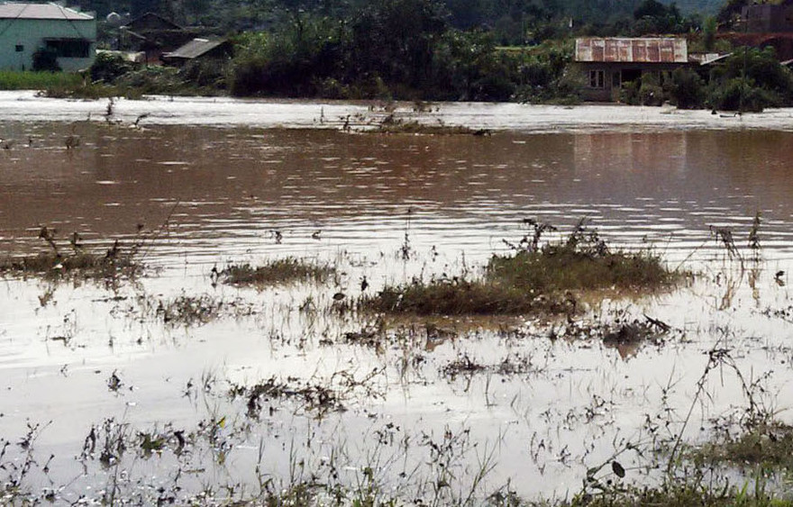 Nước lũ tràn vào vườn