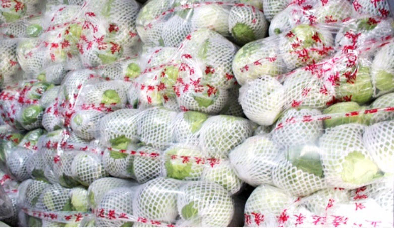 Bắp cải nhập từ Trung Quốc.