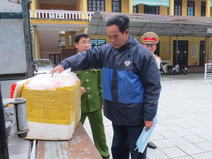 Cán bộ thú y TT-Huế kiểm tra lô nội tạng động vật trôi nổi.