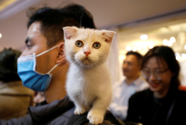 Ảnh minh họa: Reuters