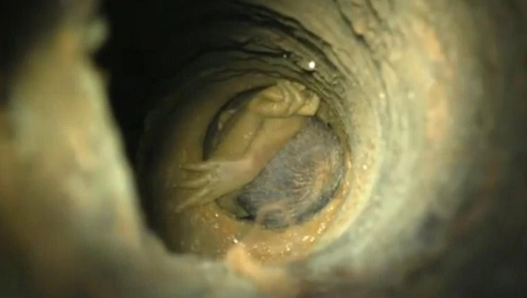 Bé trai Sujith Wilson kẹt dưới giếng sâu 26m. Ảnh: India Today