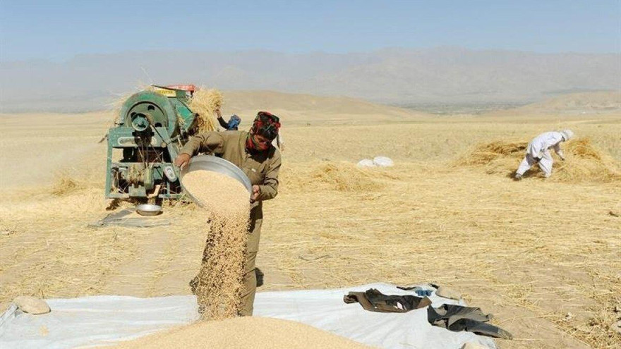 Ảnh minh hoạ: EPA