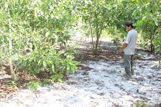 Khu vực cháu L.T.K.A bị Trần Viên sàm sỡ. Ảnh: T.H