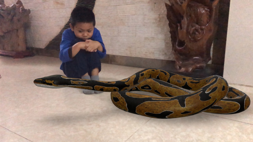 Bé trai tạo dáng với trăn hoàng gia (còn gọi trăn quả bóng) - một loài trăn nhỏ sống ở châu Phi. Ảnh: Thái An.