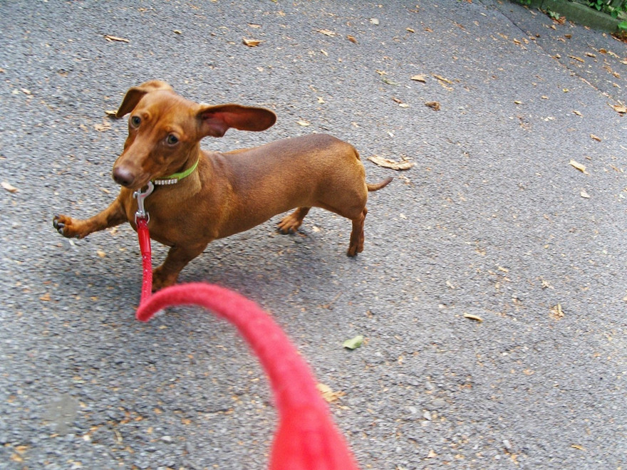 Ảnh minh họa: Getty