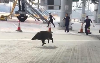 Ảnh cắt từ clip