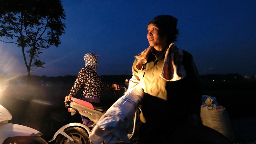 Trốn nắng gay gắt lên đến 40 độ vào ban ngày, nông dân Hà Nội gặt lúa xuyên đêm