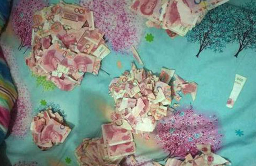 Số tiền 5 vạn tệ của ông Gao bị con trai 5 tuổi xé thành giấy vụn. Ảnh: SCMP