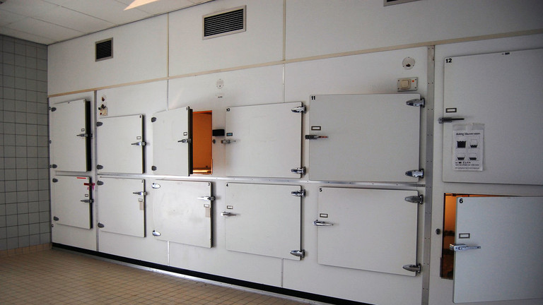 Ảnh minh họa: Wikipedia