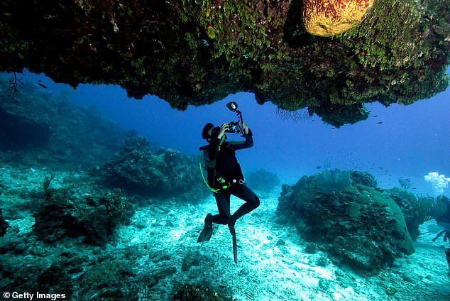 Ảnh minh họa: Getty