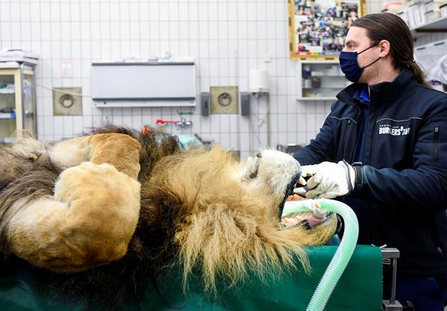 Ảnh minh họa: Reuters