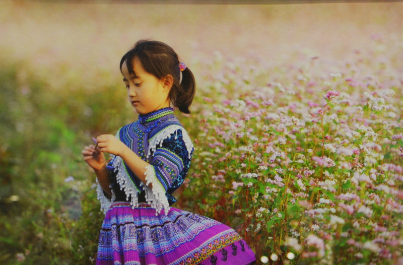 Bức ảnh "Không đề" của nhiếp ảnh gia Thọ Lê được trừng bày tại hội chợ.