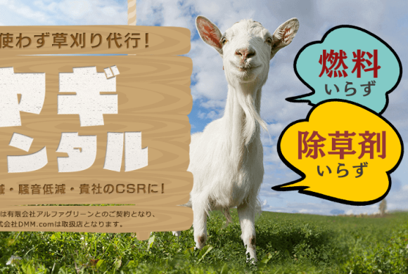 Biển quảng cáo dịch vụ cho thuê dê