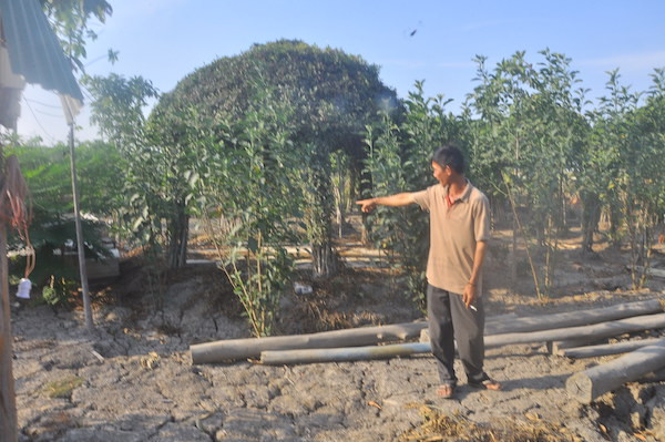 Ông Nguyễn Văn Bỉ bên khu đất của mình, nơi cất chòi lá bị xử phạt và bị khởi tố. Ảnh Việt Văn