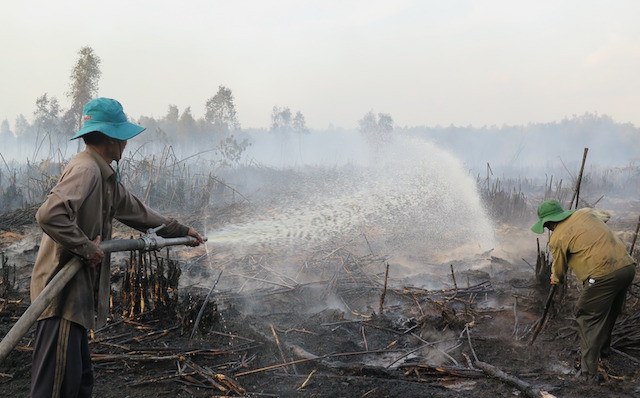 Nỗ lực suốt đêm chữa cháy 15ha rừng tràm U Minh Hạ