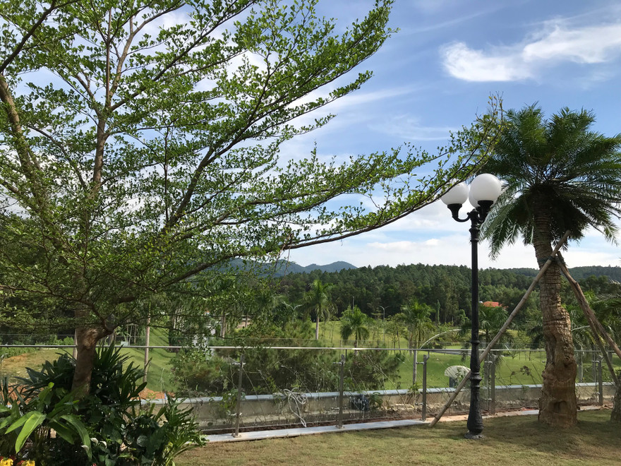 vườn trên cao độc đáo 