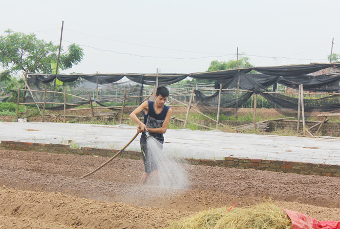 Anh Thắng vừa chia sẻ với PV vừa làm “luôn tay luôn chân”. 