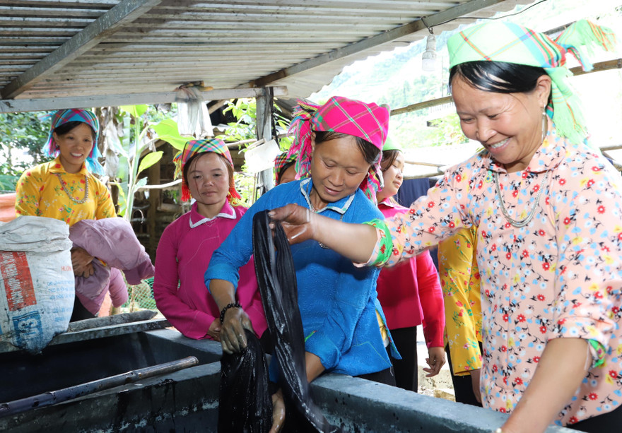 Người Xuồng nhuộm vải ở Mèo Vạc. Ảnh: Đ.M