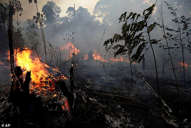 Một vạt rừng bị thiêu rụi ở Amazon. Ảnh: AP