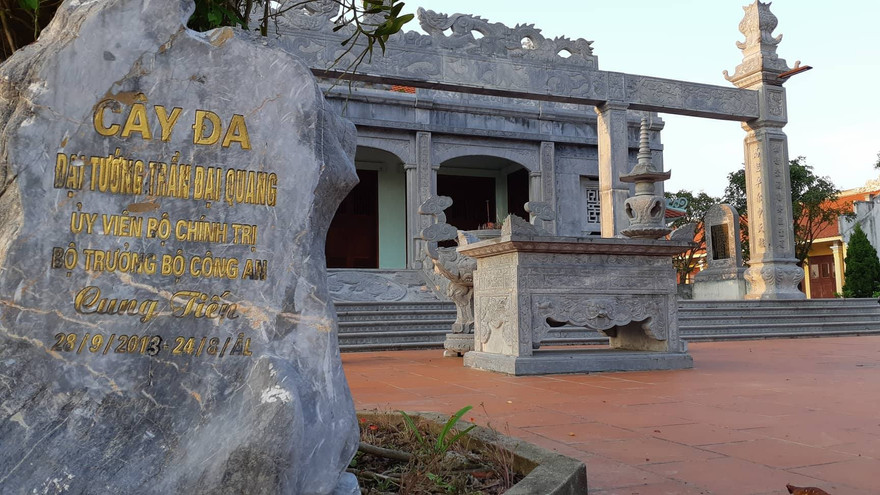 Cây đa do Chủ tịch nước Trần Đại Quang cung tiến và trồng tại miếu Duy Hoà. Ảnh: Minh Đức