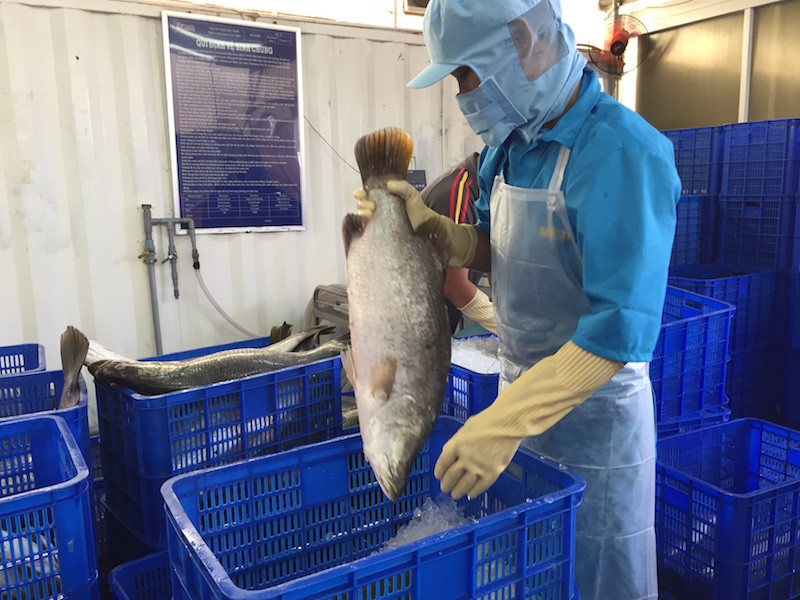 Vingroup bán hàng miễn phí 1 năm cho doanh nghiệp Việt