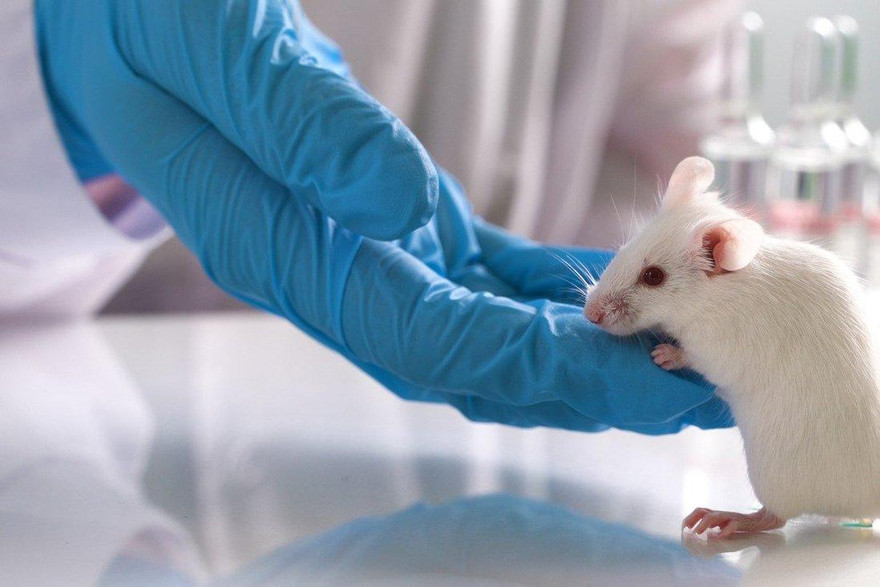 Ảnh minh hoạ: SCMP