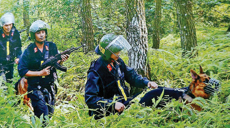 Cuộc săn lùng những “người ma” trốn truy nã