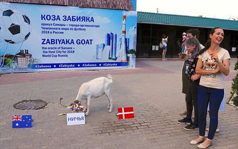 Zabiyaka dự đoán đúng kết quả hòa giữa Úc và Đan Mạch ở lượt trận thứ 2 bảng C. 