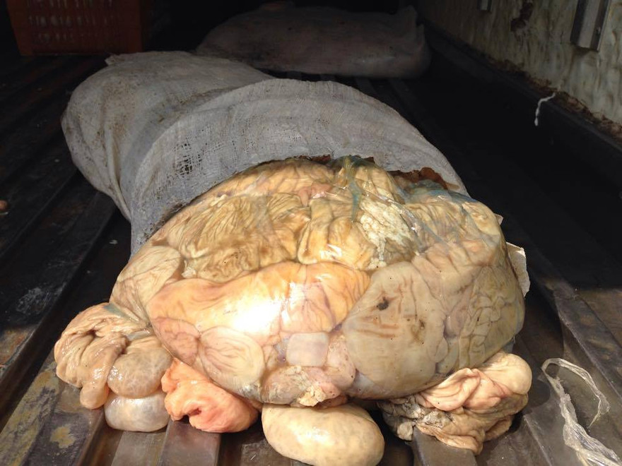 Số lòng lợn thối bị cơ quan chức năng thu giữ